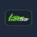 bet 55 game