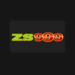 zs999 price