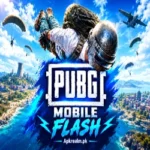 pubg flash